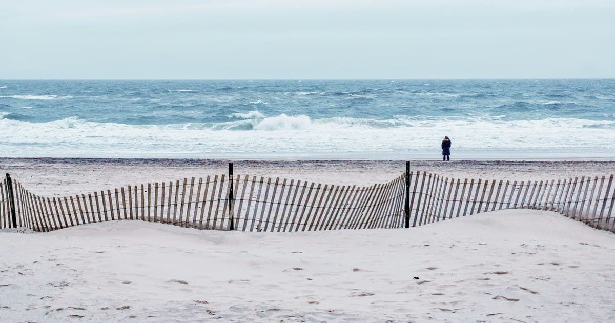 Family-Scale Cannabis on Long Island