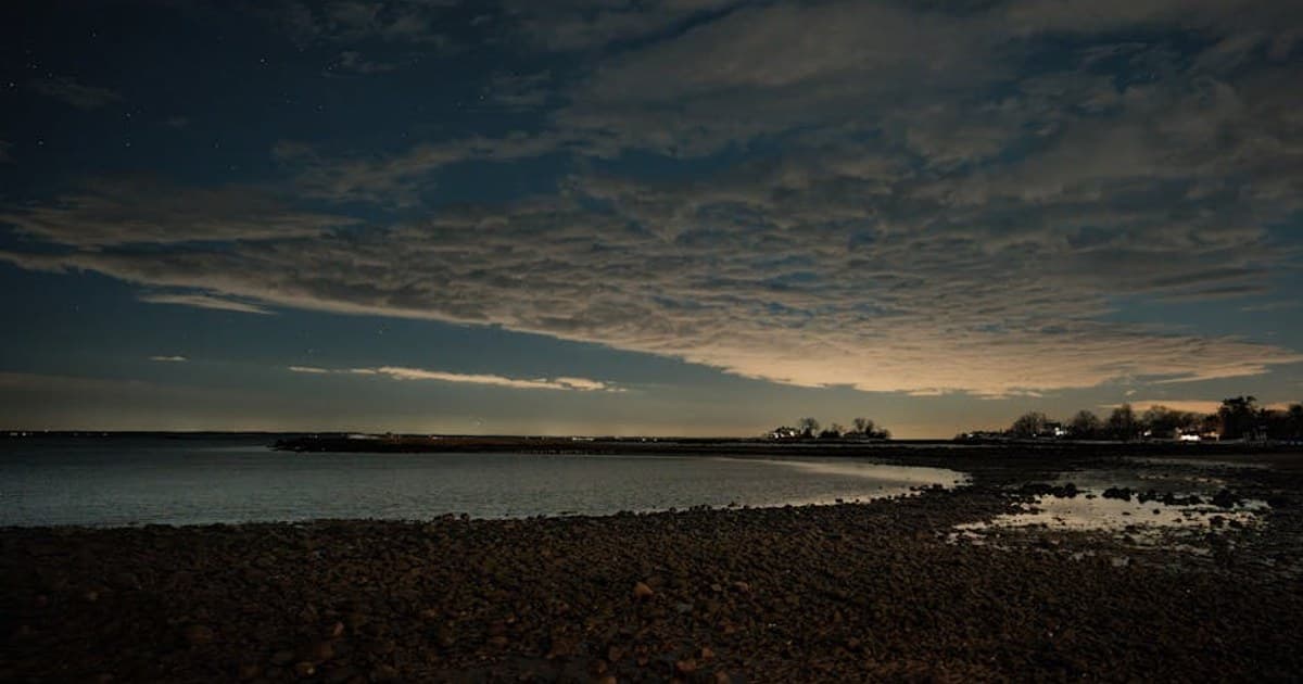 Long Beach Boardwalk Cannabis Rhythm, Day-to-Evening Template