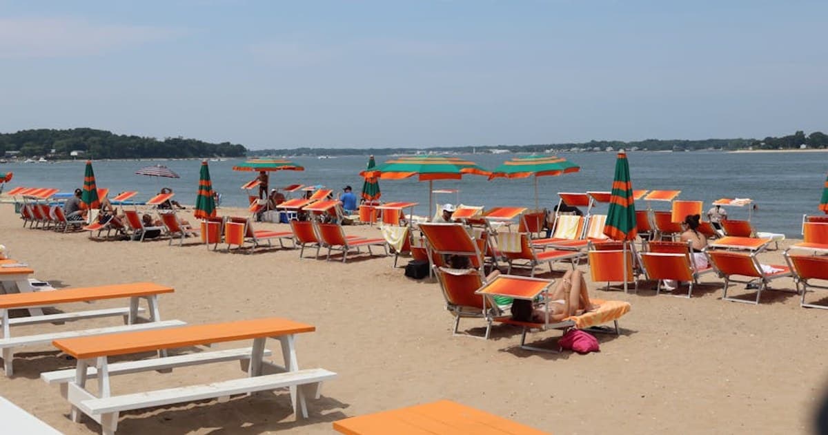 Patchogue, Sayville, and Bay Shore, the South Shore Suburban Cannabis Rhythm