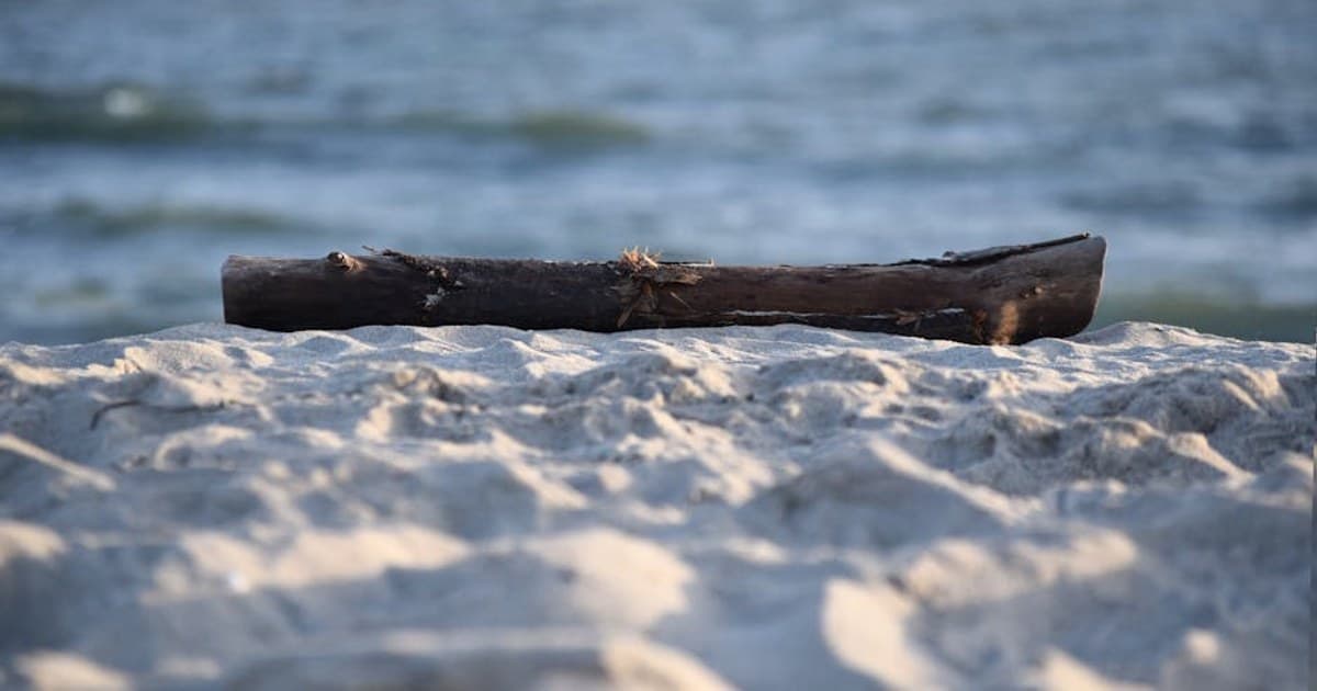 Huntington and Smithtown, North Shore Suburban Cannabis