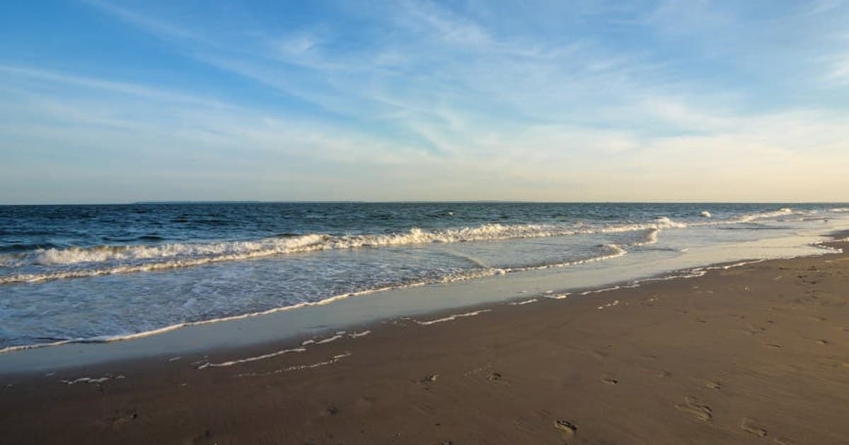 Long Beach South Shore Cannabis Weekend