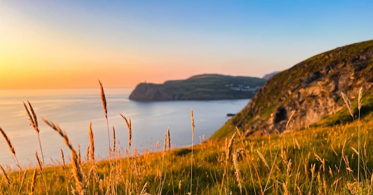 Cannabis for Beginners: What to Know Before Your First Time