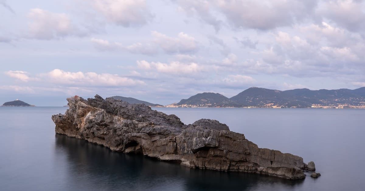 What Is Cannabis? A Complete Beginner's Guide