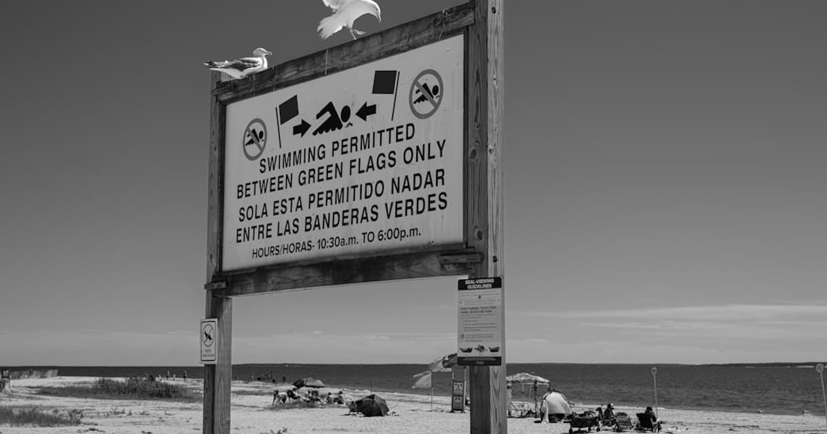 Cannabis Careers: Fast-Growing Jobs and How to Break Into the Industry