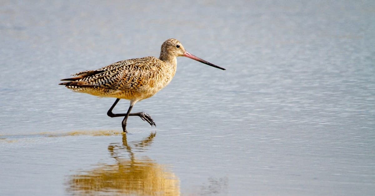 Decarboxylation Explained: Why You Need to Heat Cannabis Before Cooking