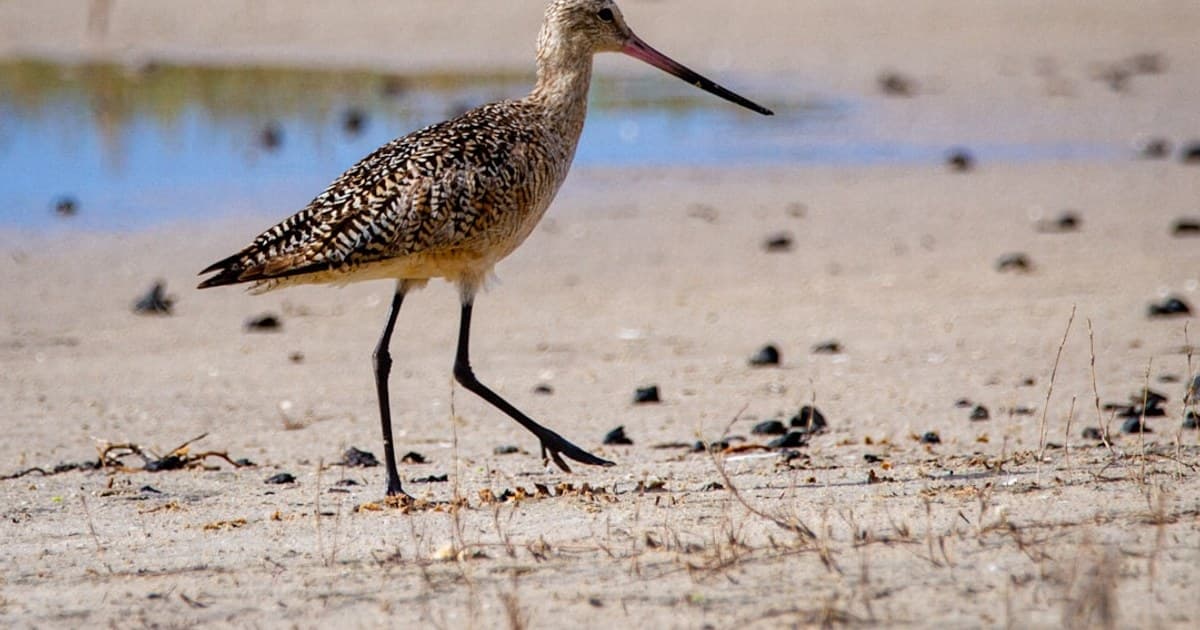 How to Store Cannabis Properly: Keep Your Flower Fresh Longer