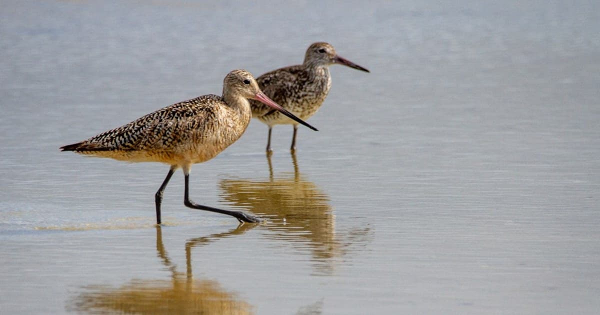 Organic vs. Conventional Cannabis: Does Growing Method Affect Quality?