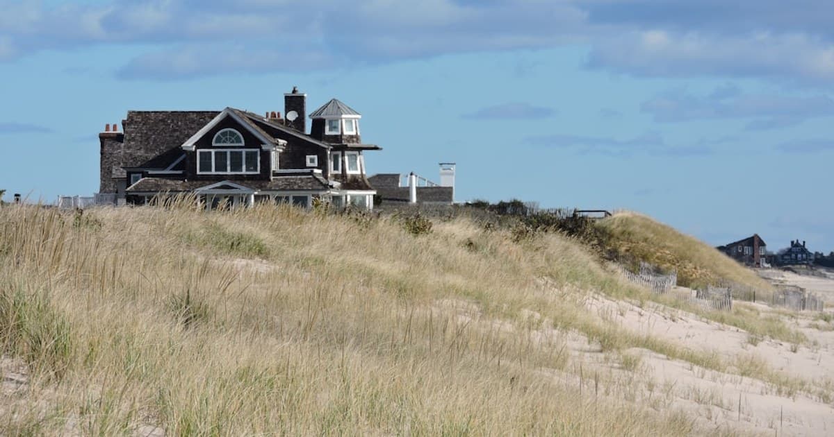 Cannabis Plant Anatomy: Flowers, Trichomes, and What Each Part Does