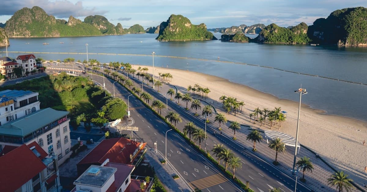 Cannabis and Opioid Reduction: What the Studies Show