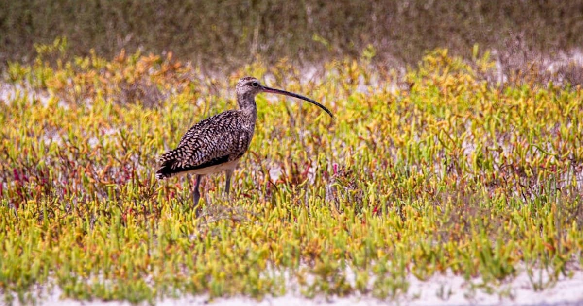 Cannabis-Friendly Tourism: Top Destinations and What to Know