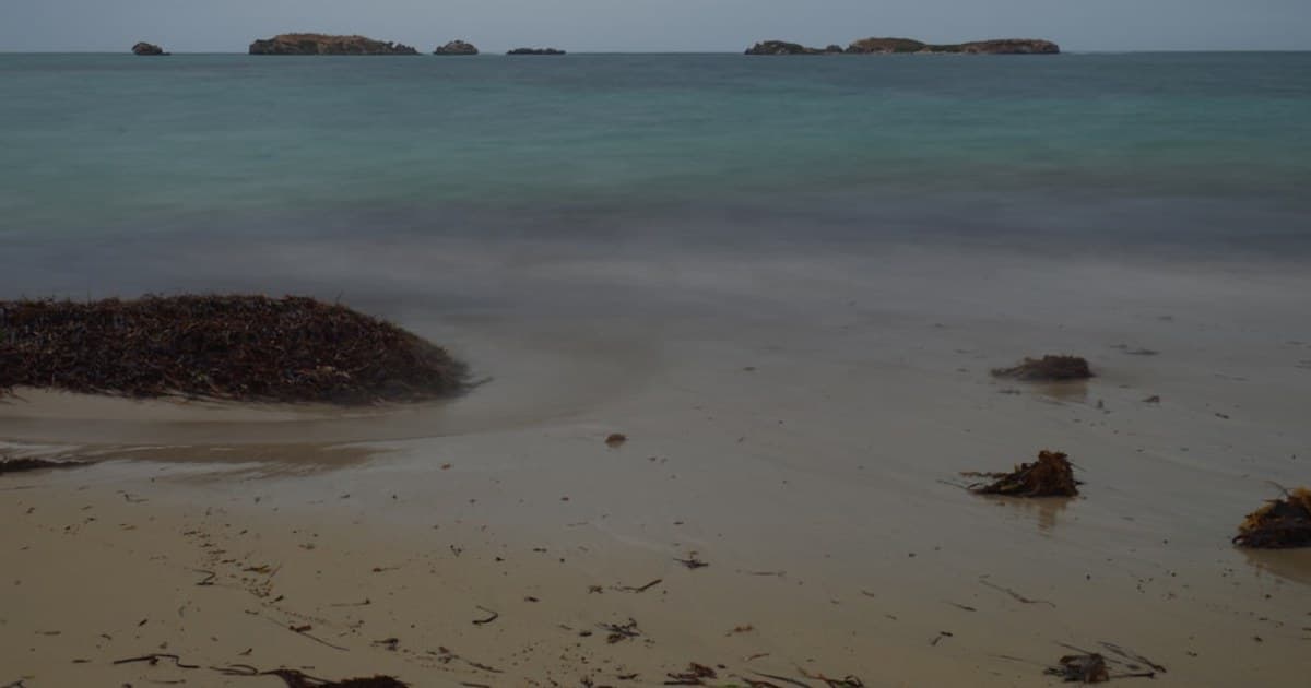 Cannabis Etiquette: The Unwritten Rules of Social Consumption