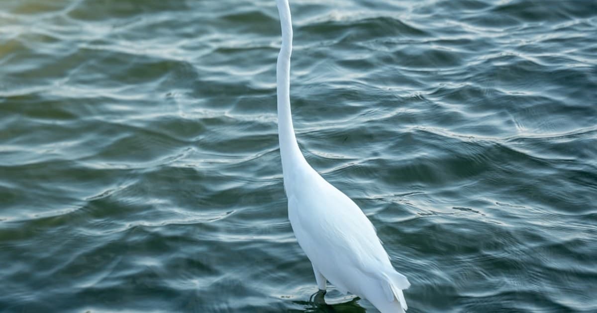 Cannabis Loyalty Programs and Deals: How to Save Money at the Dispensary