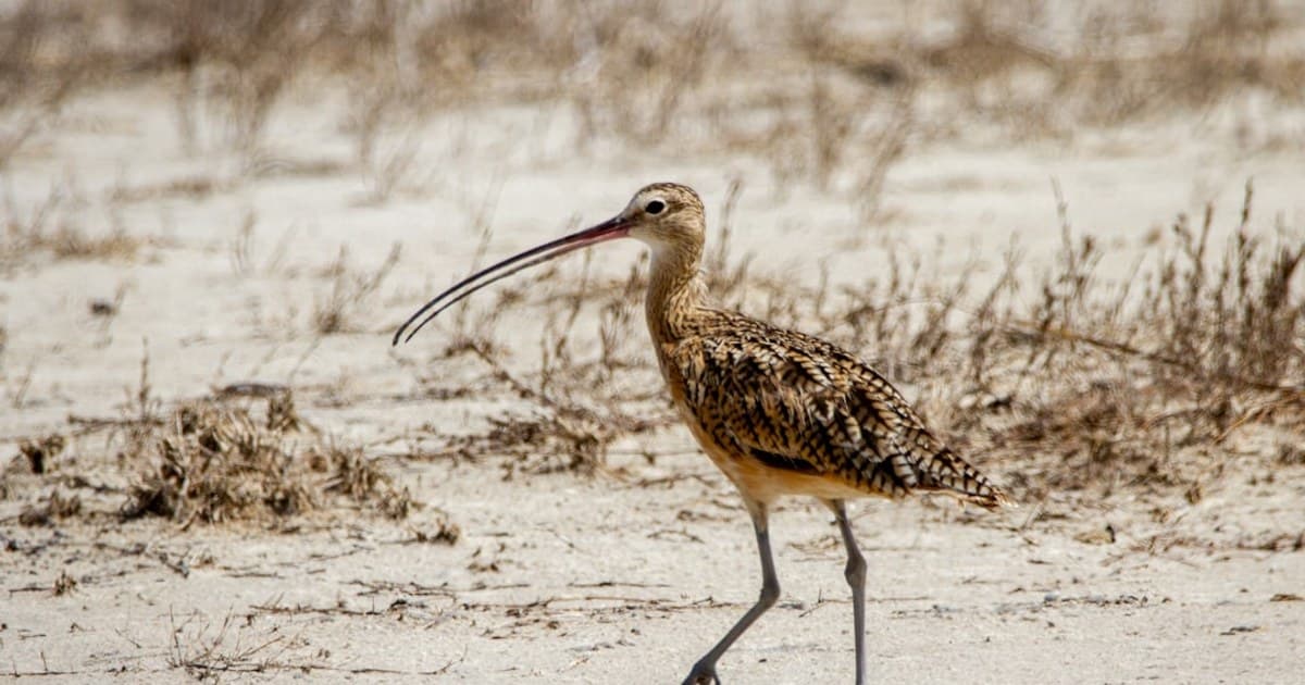 Understanding Cannabis Pricing: Why Costs Vary and How to Find Value