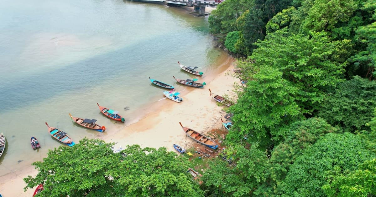 How to Choose Quality Cannabis Flower: What to Look For