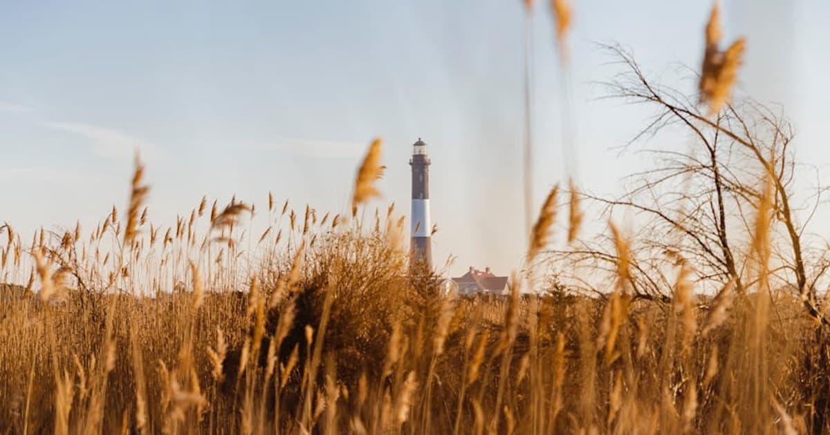 Cannabis Topicals: What They Are and How They Work for Pain and Skin Care