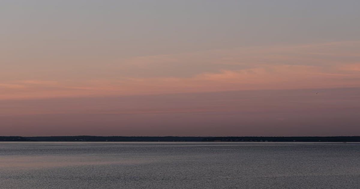 Cannabis Terminology 101: A Glossary of Terms Every Consumer Should Know