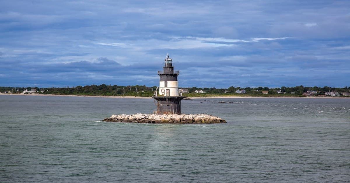 How Cannabis Works in Your Body: The Endocannabinoid System Explained