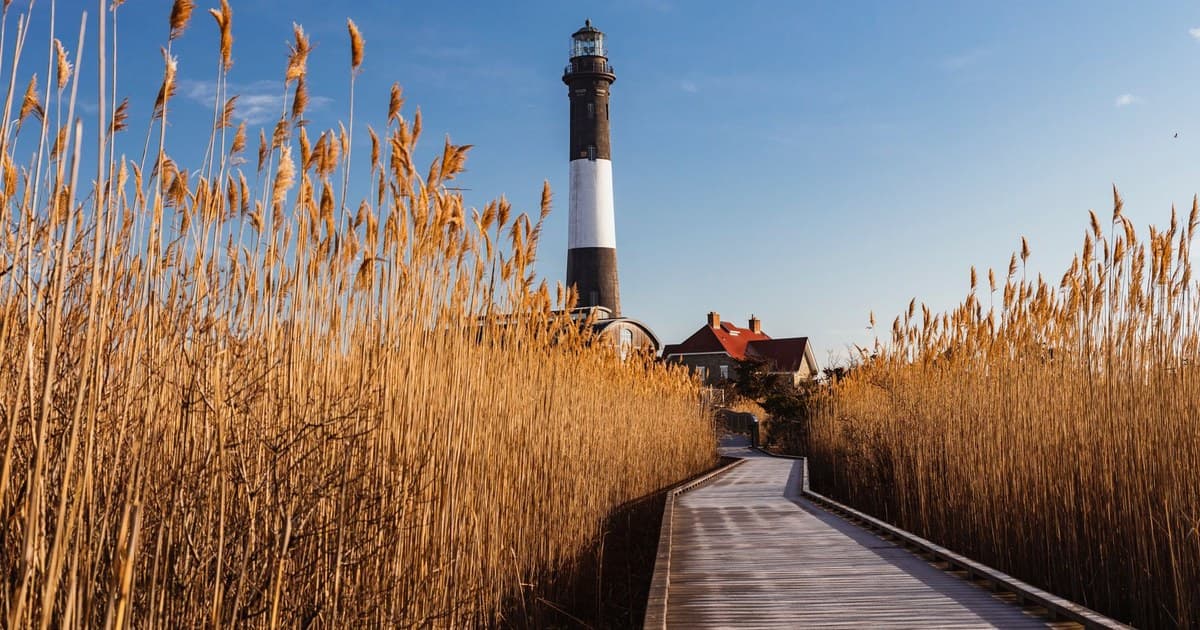 Beautiful autumn view of Fire Island Lighthouse, surrounded by tall reeds under a clear blue sky.