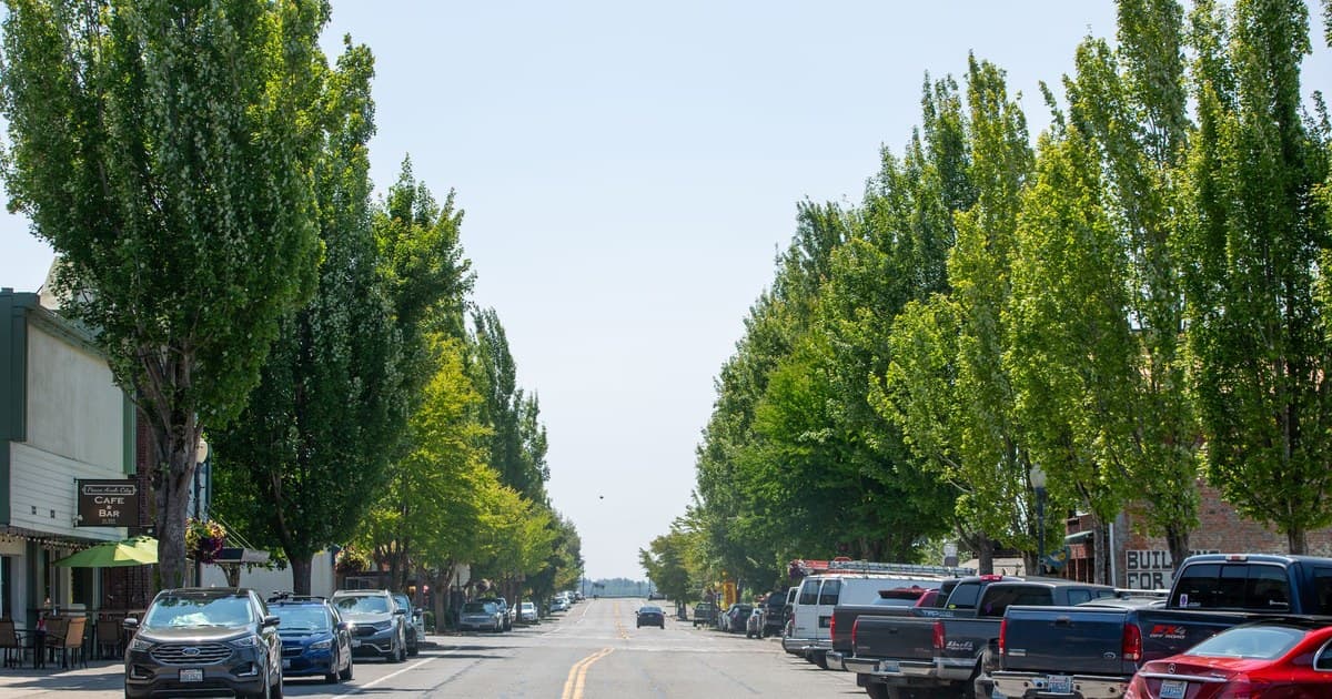 A serene urban street scene featuring lined trees and parked cars under a bright sky.